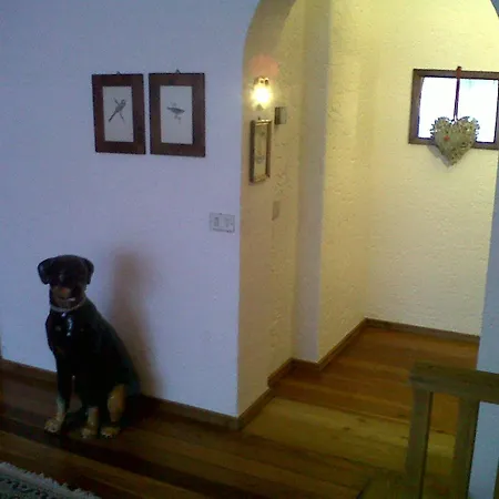 Pichler Casa